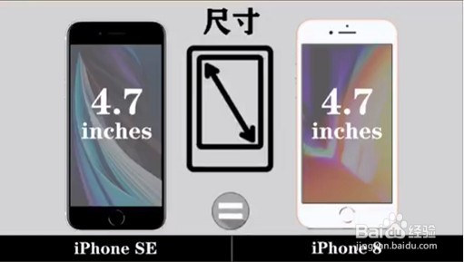 新款iphone SE和iphone 8的区别
