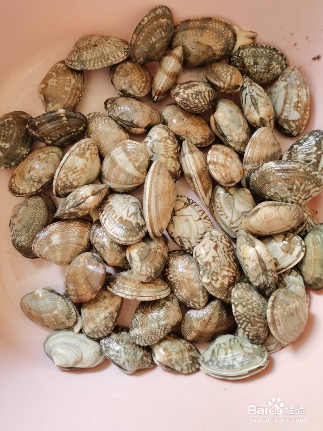 花甲怎么做好吃