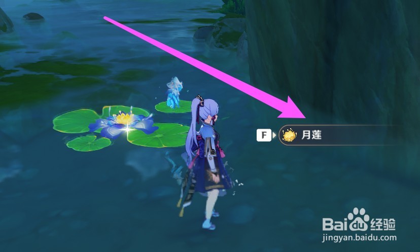原神月莲怎么采集
