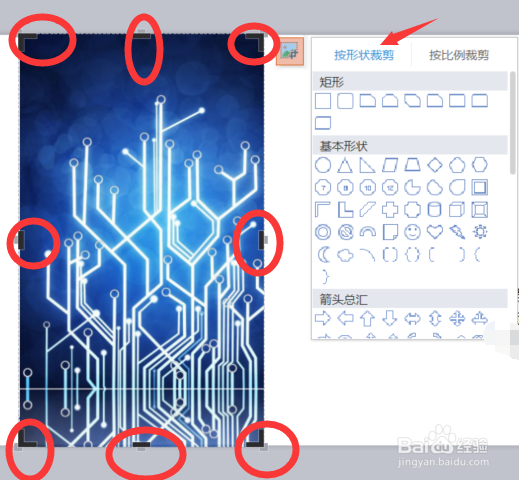 WPS在PPT中导入的图片如何裁剪