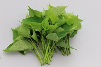 红薯叶子都有哪些好处