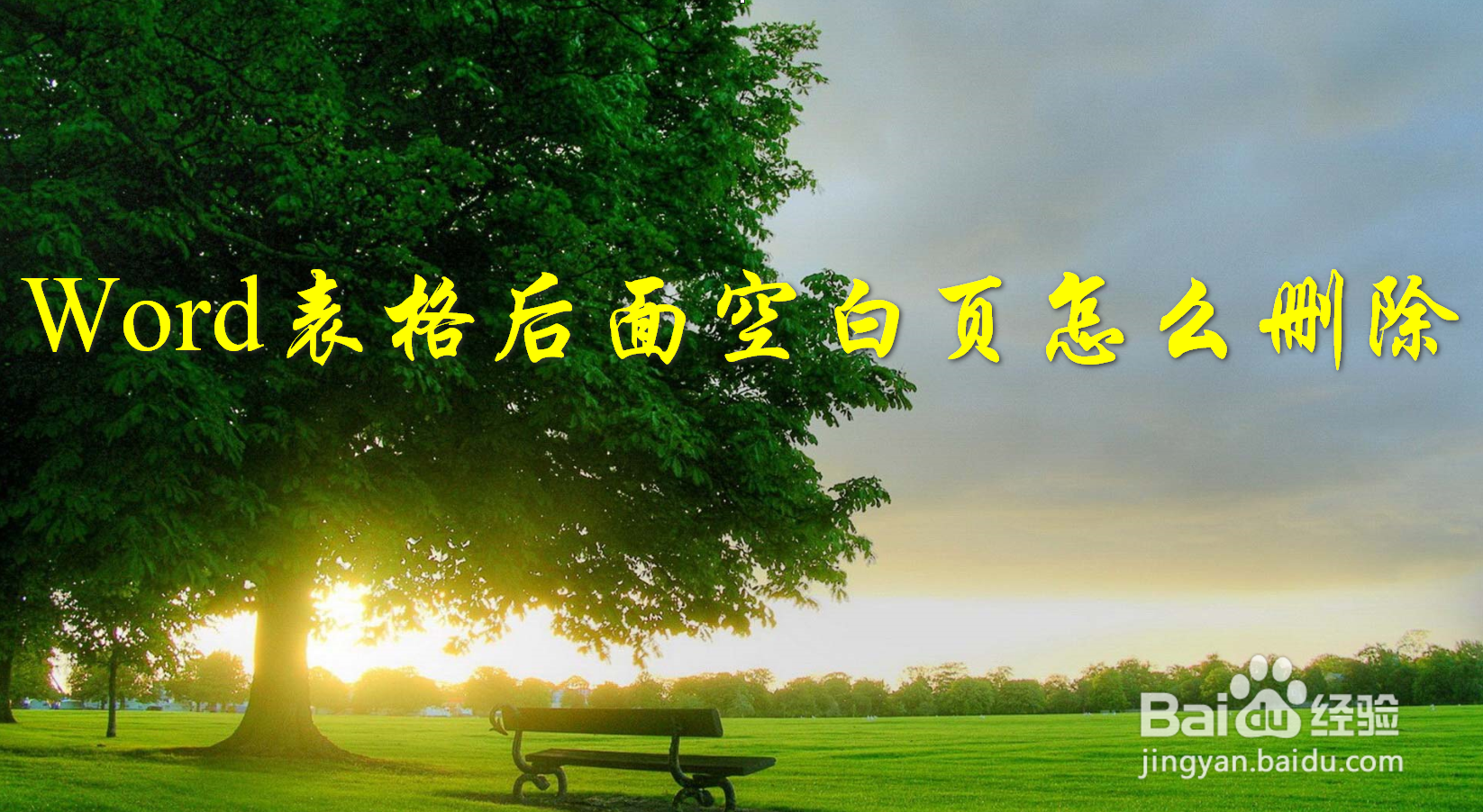 Word表格后面空白页怎么删除