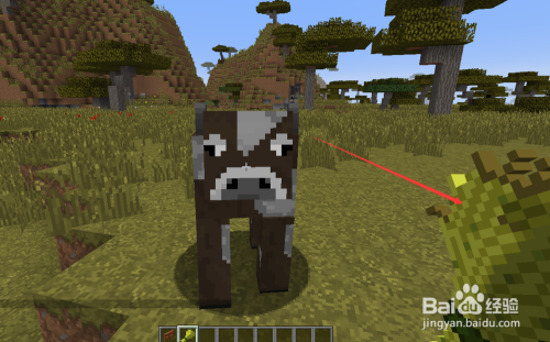 Minecraft我的世界牛怎么驯服牛怎么繁殖和挤奶 百度经验