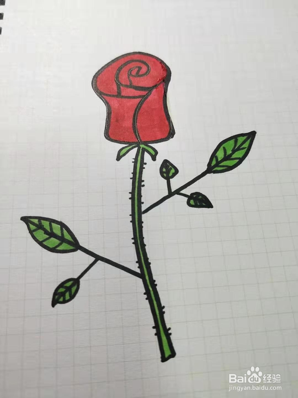 如何画玫瑰花简笔画？