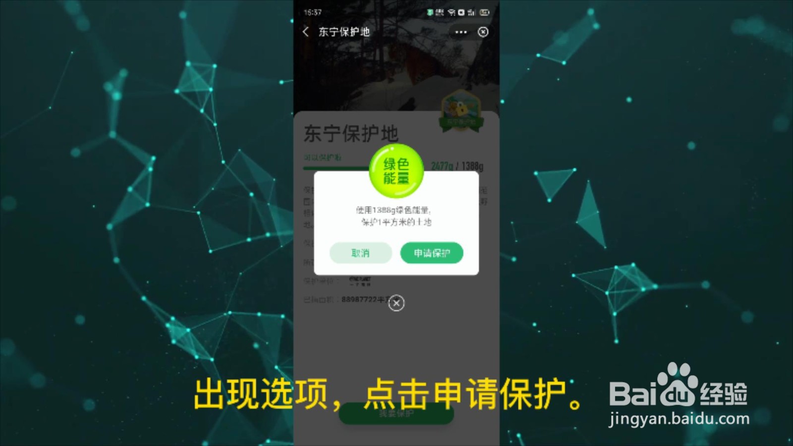 支付宝的环保证书是怎么获得的