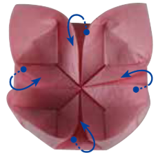如何折一朵睡莲
