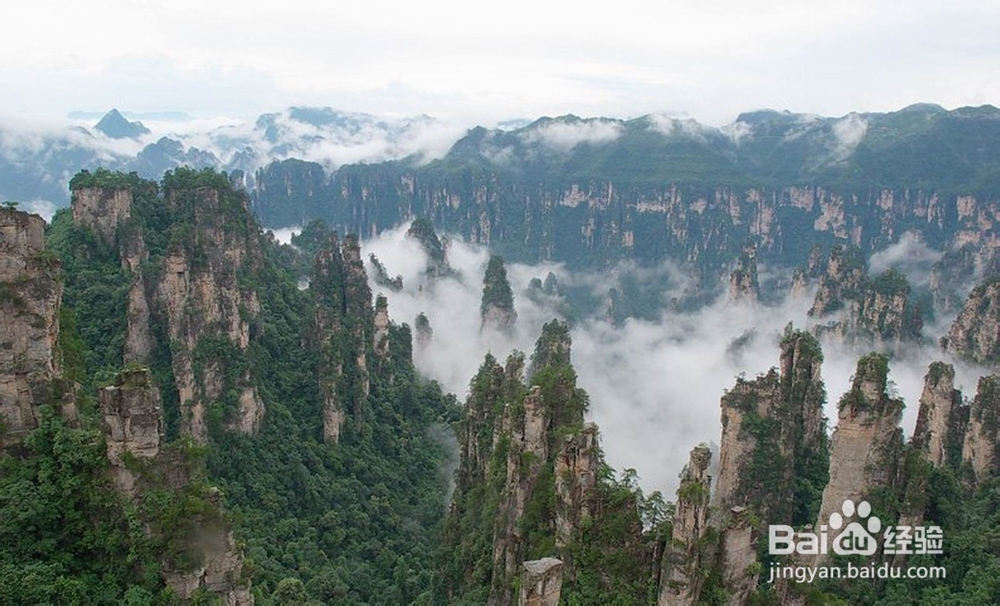 张家界暑假旅游攻略