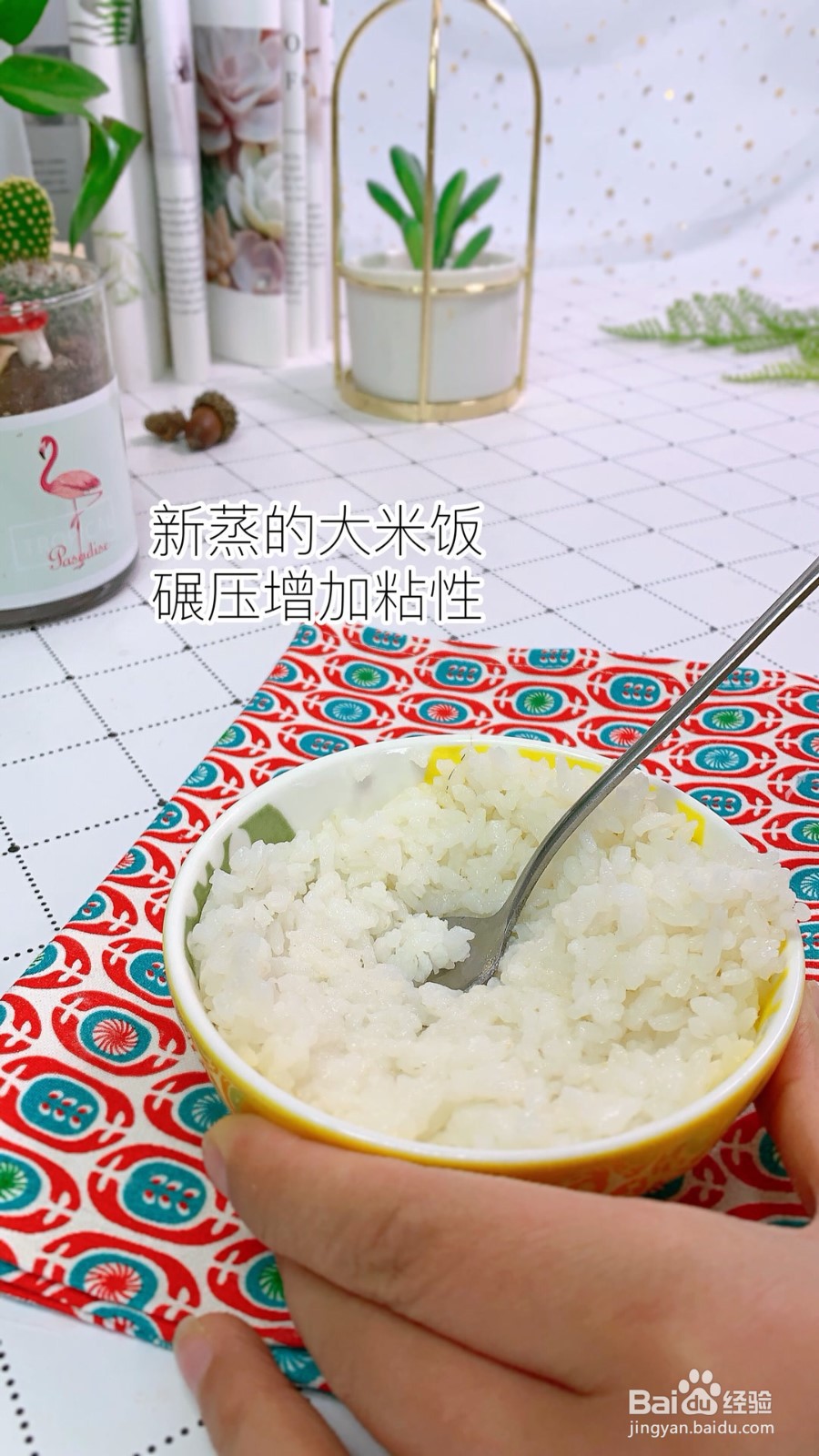 怎样做海苔肉松饭团