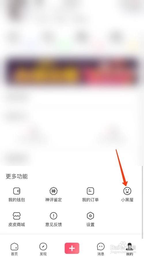 皮皮虾怎么查看违规公示