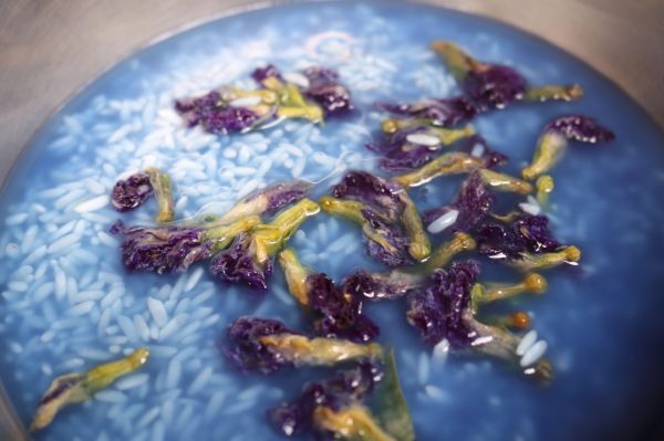 碳火蝶豆兰牛肉饭