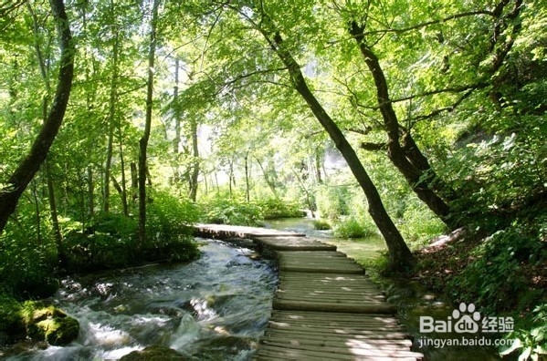 克罗地亚十六湖国家公园 欧洲的“九寨沟”