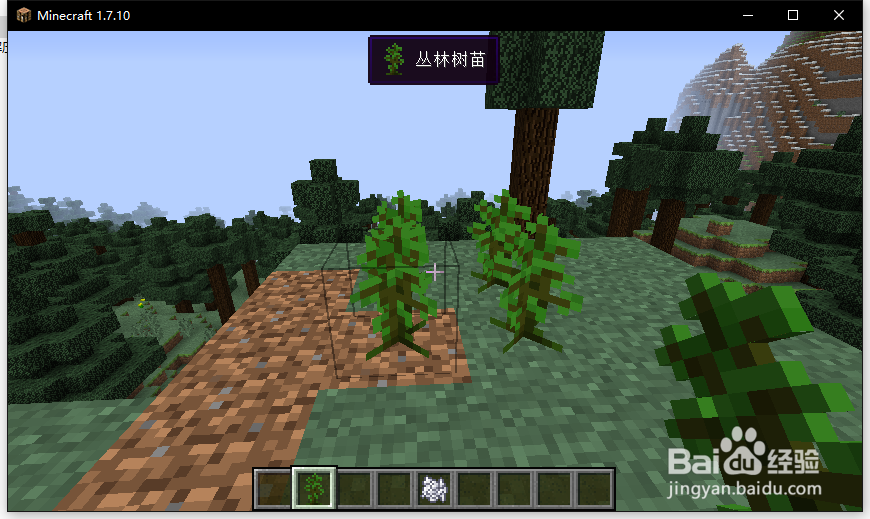 我的世界巨形树教程