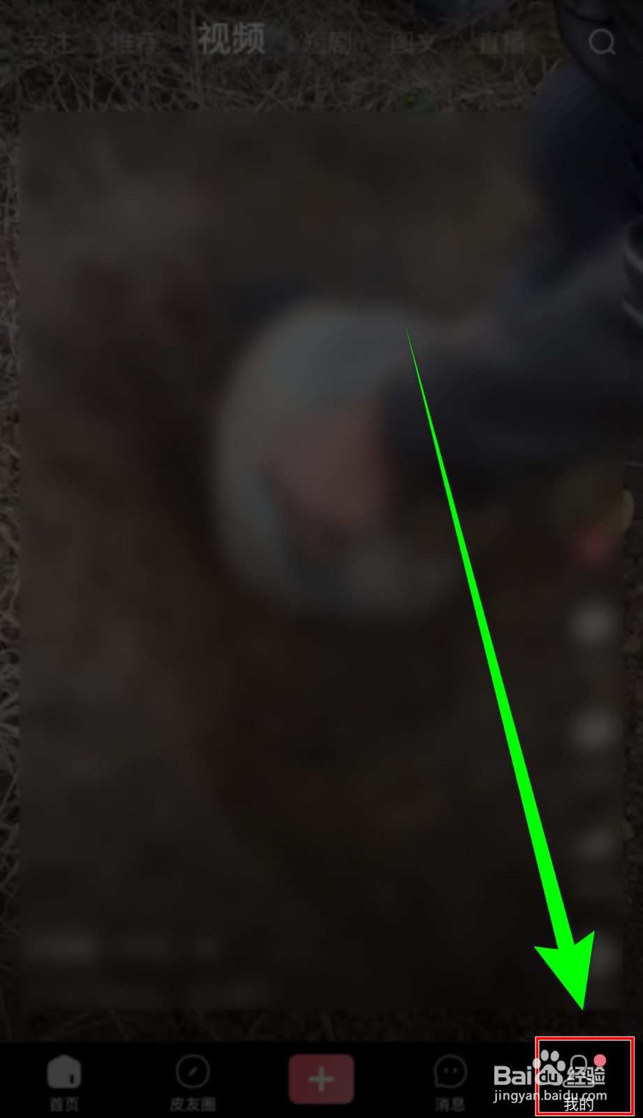 皮皮虾怎样打开【允许皮皮虾使用个性化推荐】？