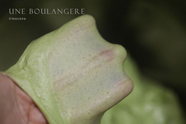 冷暖自安 霜桑吐司