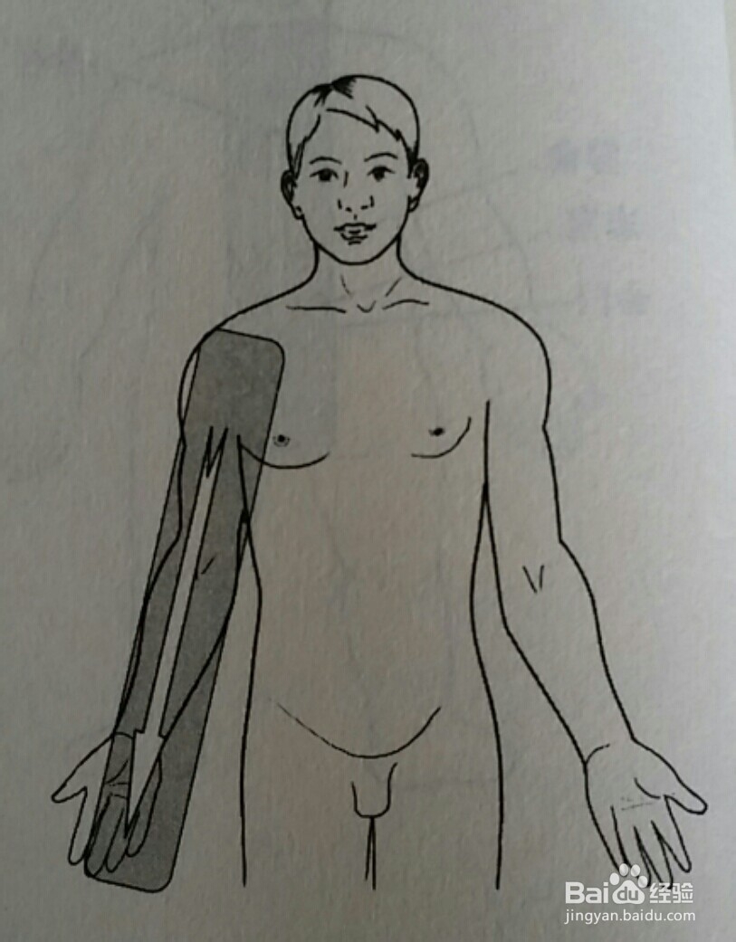 刮痧治疗青少年矮小，青少年增高