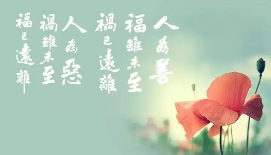 积德行善的经典语句