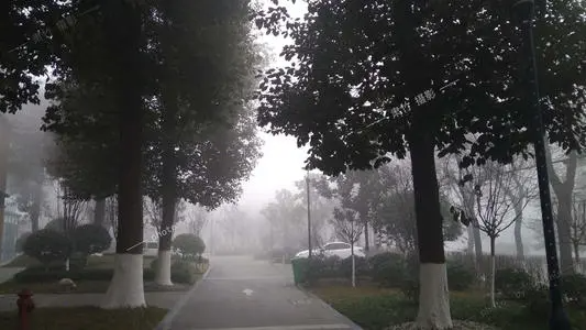 后来啊一个清晨大雾散尽出自哪里