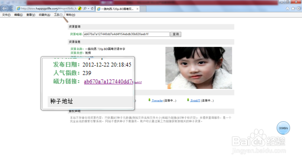 如何获得网上视频资源