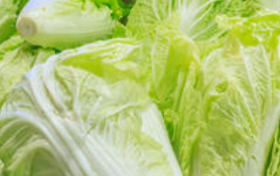 白菜冻了怎么保存