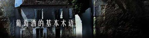 红酒有哪些基本术语