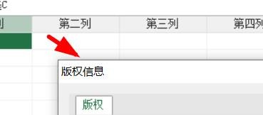 Access如何查看项目信息