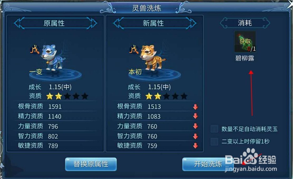 小虎咪怎么加点