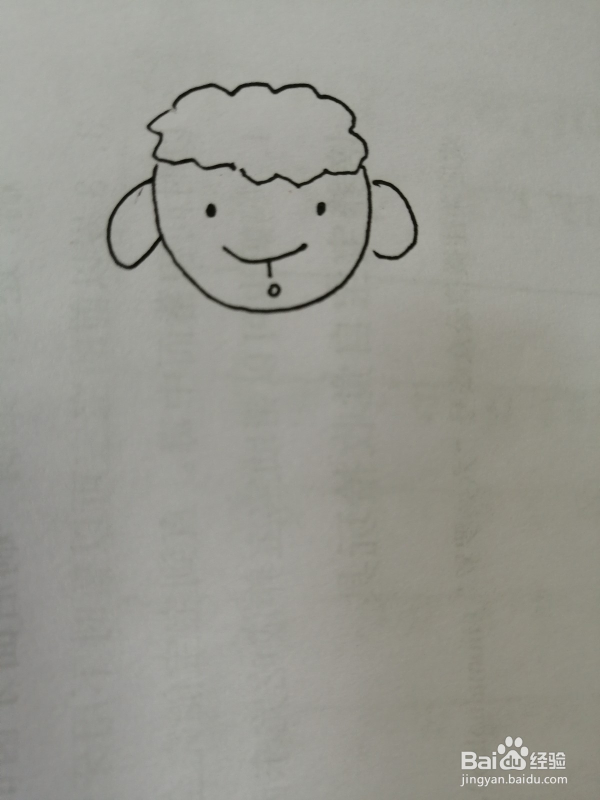 可爱的小绵羊怎么画