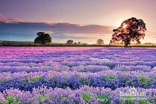 你与他有话聊吗?