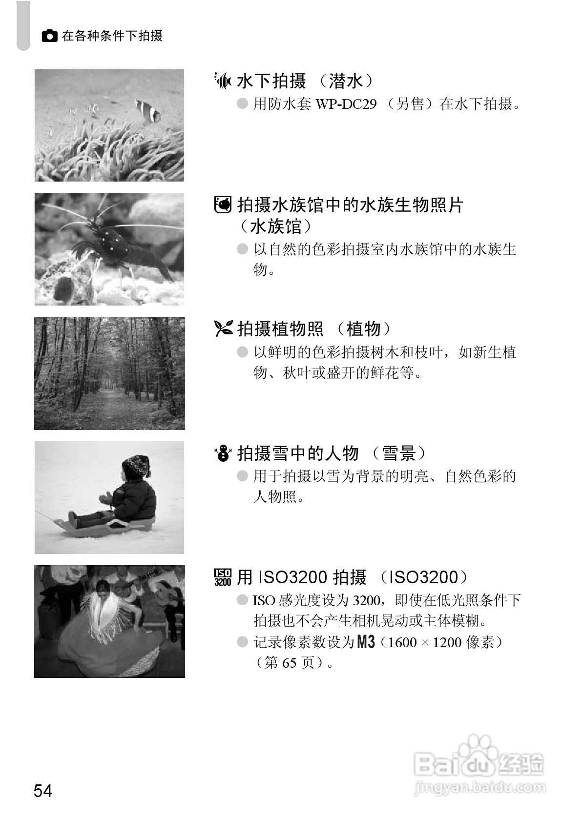 佳能IXUS9515数码相机使用说明书:[6]