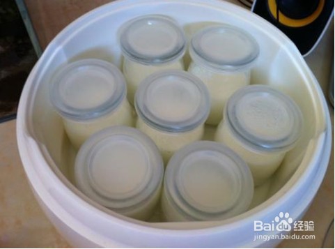 用米乳粉发酵纯植物基的椰香流动型酸奶