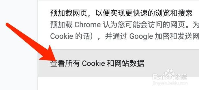 谷歌浏览器Mac版怎么查看Cookie