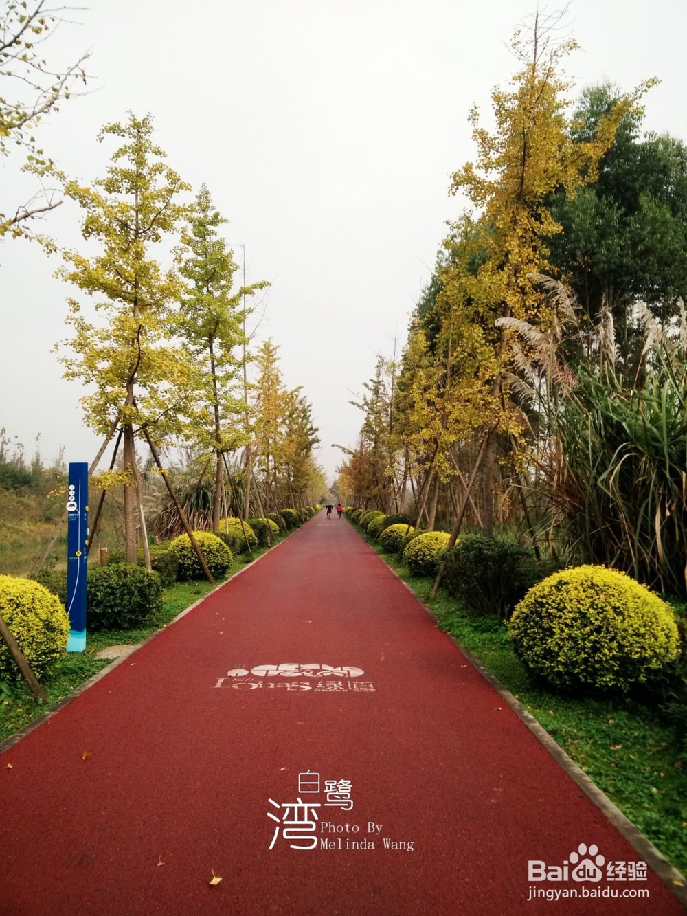 【校园指南】四川师范大学成龙校区出行篇