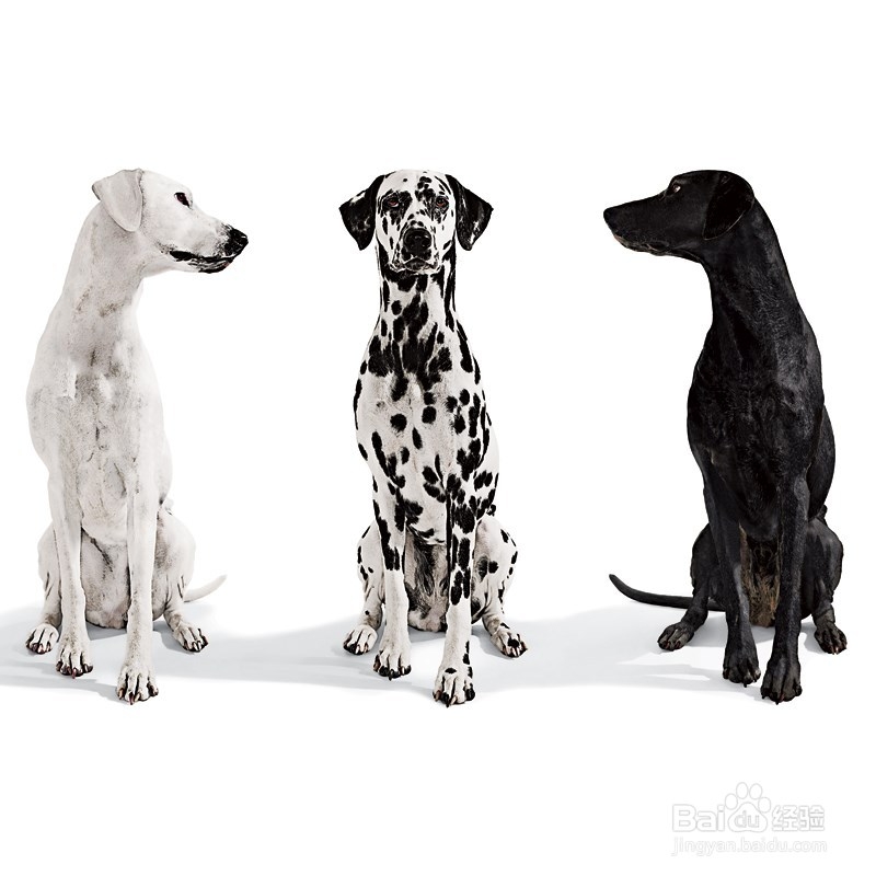 要学会克服嫉妒