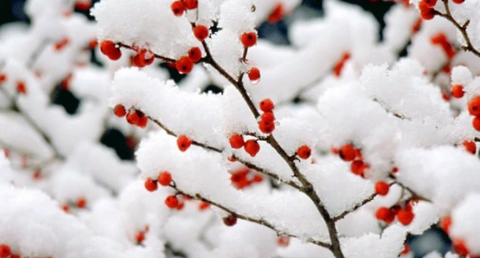 夏天雨水多,是不是冬天下雪天就比较多