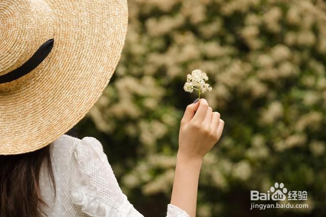 情商高的人都会怎么做事情？