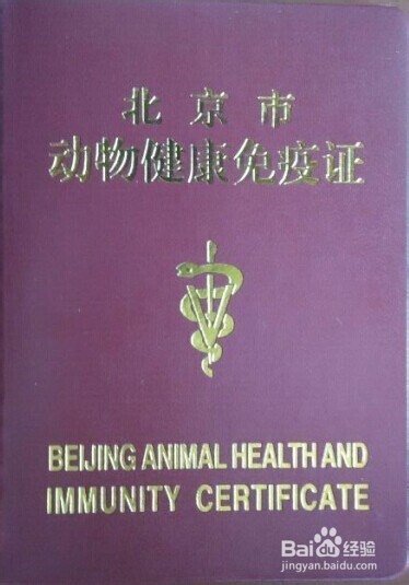北京宠物出国 带宠物去法国