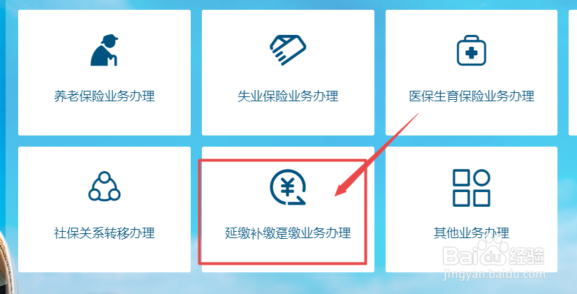 如何在网上申报一次性趸缴职工养老保险费