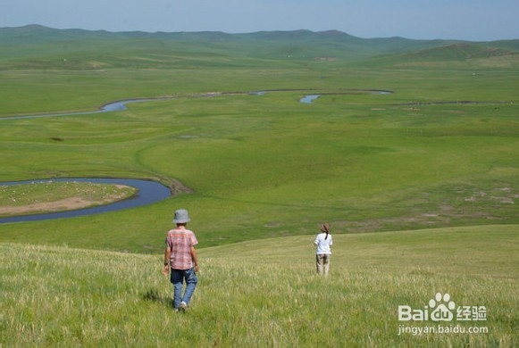 端午我们一起去呼伦贝尔草原、骑马驰骋大草原