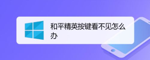 和平精英按键看不见怎么办