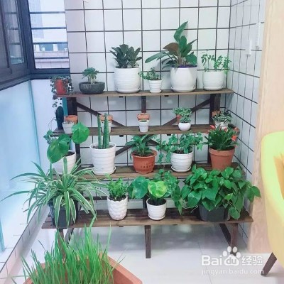 怎样促进植物开花