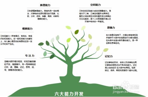 的快速切换,促进大脑神经回路的形成,发育,提高学习所需的六大能力