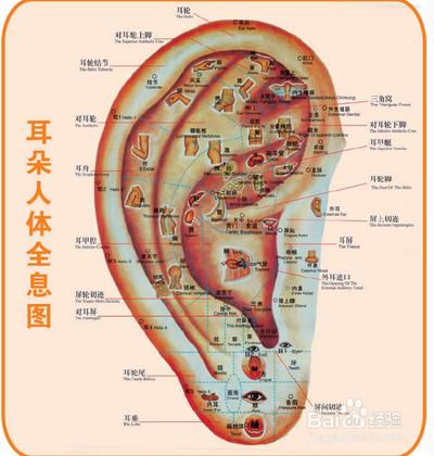 怎样才能控制自己的食欲？