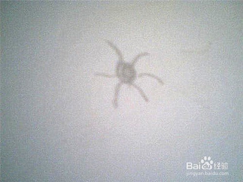 简笔画梅花怎样画：