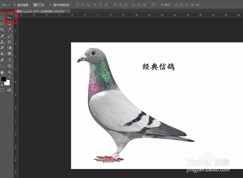 ps基础教学【新手必看2】