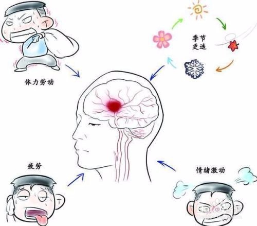 如何预防脑溢血