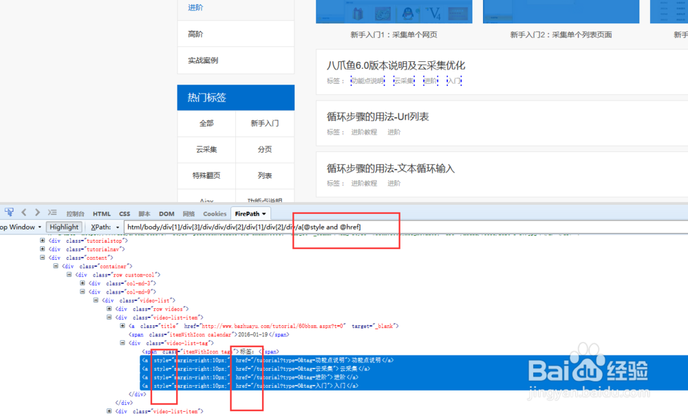 xpath的入门基础教程