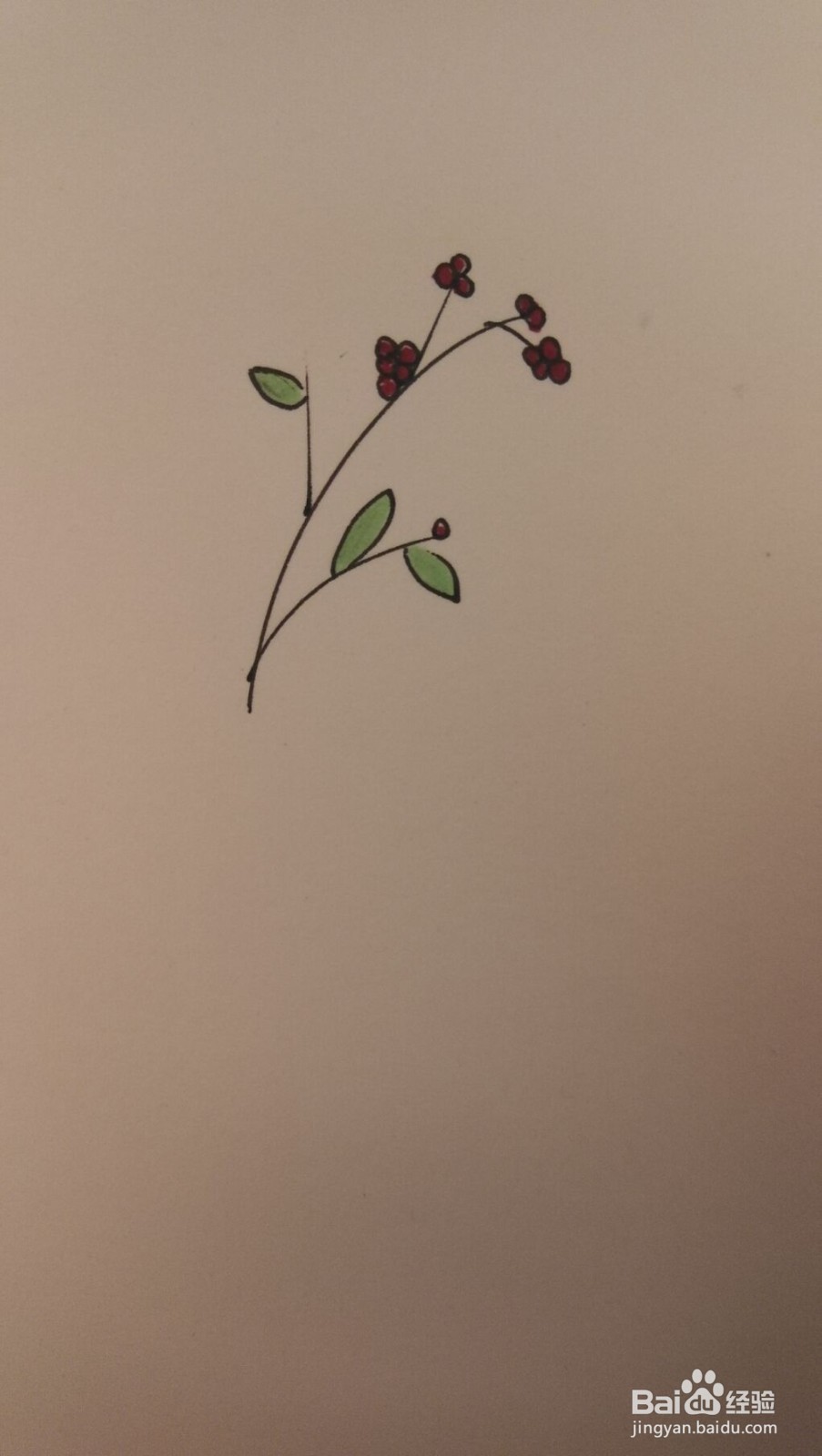 小草简笔画之画法四十九