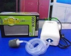 新手养鱼应该注意什么