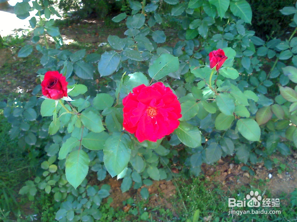 读书的好处---12