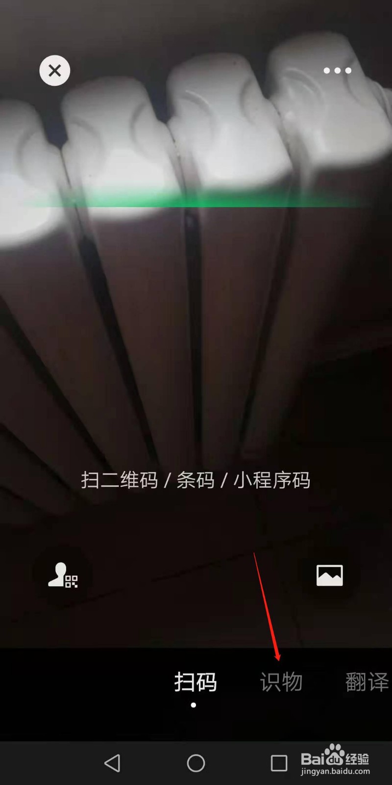 怎样用微信帮助我们识别花草树木